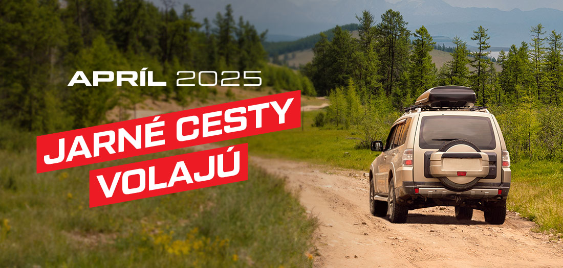 AKTUÁLNA AKCIOVÁ PONUKA