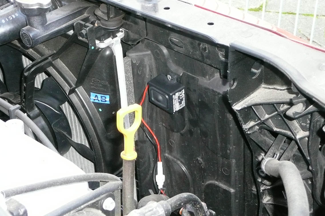 kuny-v-aute-3.jpg (166 KB)